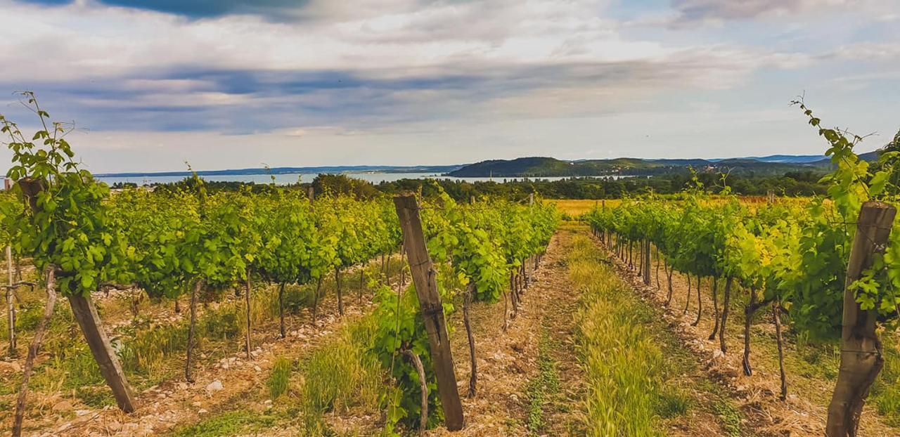 Koczor Winery & Guesthouse Balatonfüred Екстериор снимка