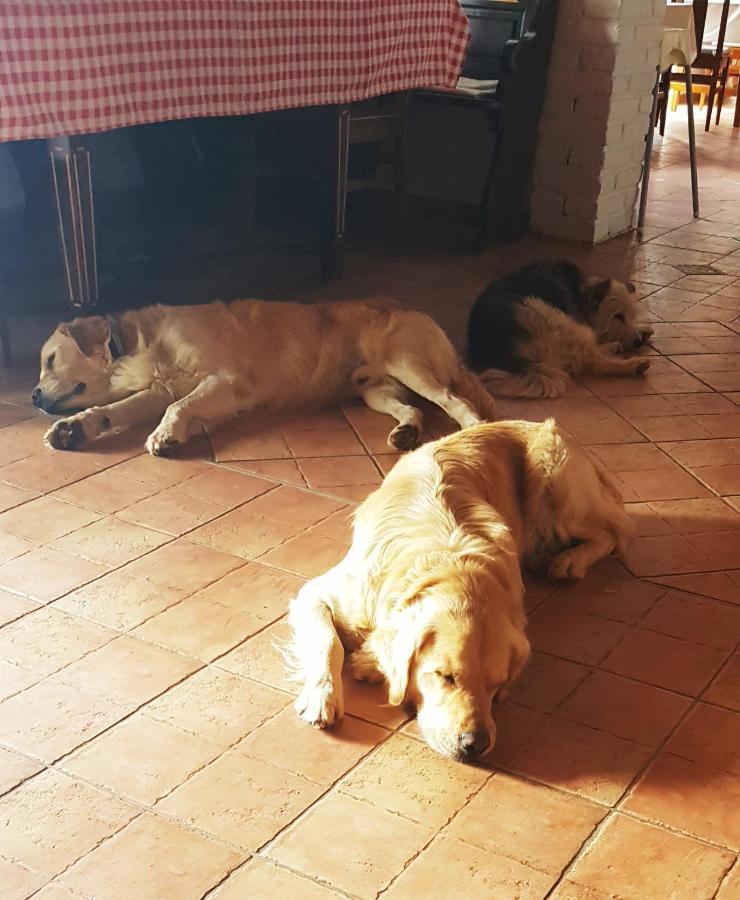 Koczor Winery & Guesthouse Balatonfüred Екстериор снимка