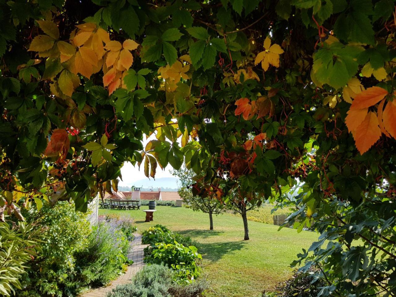Koczor Winery & Guesthouse Balatonfüred Екстериор снимка